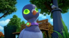 S1 E9: Pecking Prankster Pigeons