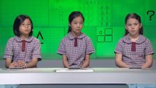S20 E6: It's Academic
