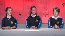S12 E35: It's Academic