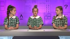S19 E39: It's Academic