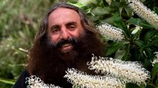S36 E6: Native Plant Special