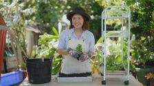 S34 E14: Eucalypt; Herbs; Restore: Mosaic: Winter: Bee