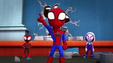S1 E1: Spidey to the Power of Three; Panther Patience