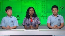 S20 E26: It's Academic