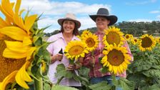S12 E21: Darling Downs, QLD