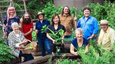 S36 E17: Winter: Dryland Gardens & Bonsai Forest