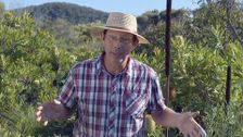 S27 E18: The Perfect Pot, Growing Knowledge & Cuttings 101