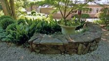 S28 E1: Silver Foliage Plants & Propagating From Seed