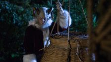 S3 E8: Twelve Days of Krampus