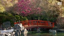 S32 E23: Gardening Australia