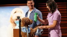 S13 E23: Shark Tank