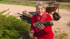 S30 E8: Gardening Australia