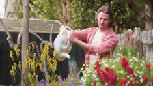 S36 E9: Autumn: Special - Big Ideas for Small Spaces