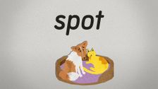 S2 E63: Spot