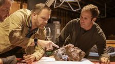 S14 E6: Dive for America's Pirate Loot