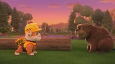 S1 E7: The Crew Builds a Beaver Home; The Crew Fixes a Road