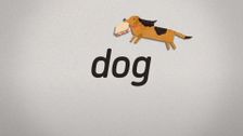 S2 E44: Dog