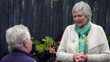 S28 E32: Euphorbias, Pot Size Matters & Bringing Up Babies