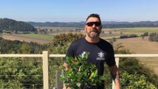 S29 E40: Gardening Australia