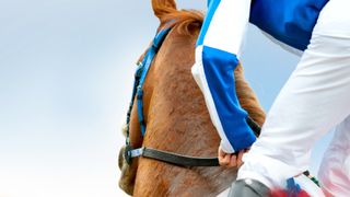 Cox Plate - Best of the Best