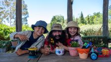 S1 E5: Building a Bee Hotel