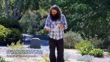 S28 E13: Picking A Palm, Tight Garden Spaces & Green Manure