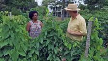 S28 E16: Lime and Gypsum, A Colourful Collaboration & Nifty Netting
