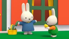 S1 E46: Miffy's Magic