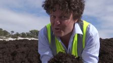 S29 E35: Gardening Australia