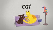 S2 E71: Cat