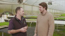 S2 E7: Freshly Picked with Simon Toohey