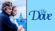 The Dove