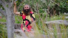 S36 E14: Autumn: Bush Foods & Designing with Natives