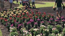 S30 E41: Gardening Australia
