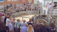S3 E6: Escape To The Farm With Kate Humble