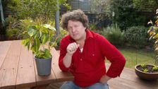 S35 E22: Winter: Endangered Birds & Artful Bonsai