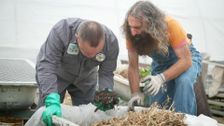 S34 E12: Soil, Salad, Native, Rose, Diversity & Design