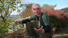 S36 E11: Autumn: Perennial Paradise & Shade Strategies