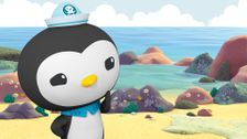 S4 E16: Octonauts and Operation Cooperation