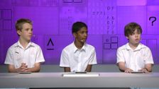 S20 E2: It's Academic