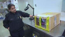 S2 E16: Border Security: International