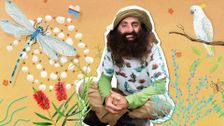 S2 E11: Mindful Garden