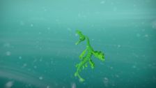 S2 E18: Leafy Sea Dragons
