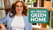 My Dream Green Home